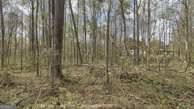 Discover the perfect blend of privacy, natural beauty, and - photo 4