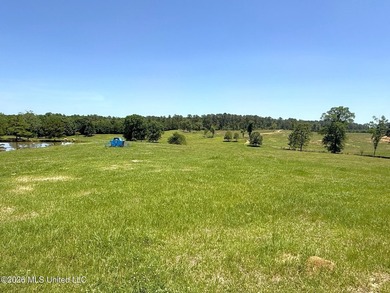 116 acres of land for sale in North Pike School District - photo 5