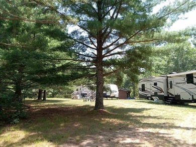 Lake Arrowhead Perpetual Camping or Homebuilding spot! Nestled - photo 5