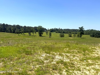 116 acres of land for sale in North Pike School District - photo 7
