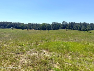 116 acres of land for sale in North Pike School District - photo 8