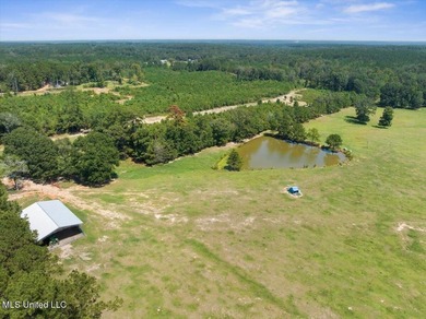 116 acres of land for sale in North Pike School District - photo 9