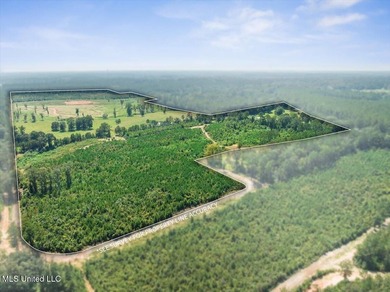 116 acres of land for sale in North Pike School District - photo 10