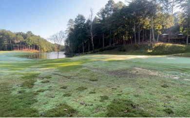 Lake Lot For Sale in Ellijay, Georgia