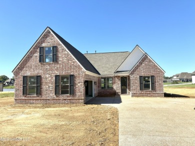 Lake Home For Sale in Southaven, Mississippi