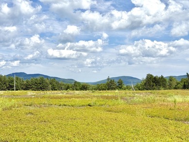 (private lake, pond, coastal) Acreage For Sale in Franklin Maine