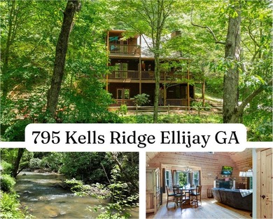 (private lake, pond, coastal) Home For Sale in Ellijay Georgia
