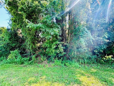 Rare Opportunity!! Zoned C-2! Next to the BRAND new SUN STOP!! - photo 2