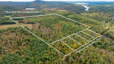 (private lake, pond, coastal) Acreage For Sale in Bucksport Maine