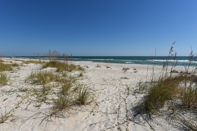 St George Island Gulf Front home on Rare Gulf-to-Road Lot! - photo 5