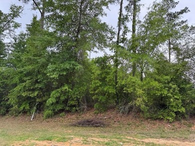 This is a very RARE find! This is 2.8 Acres of waterfront - photo 1