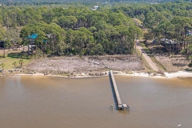 This is a very RARE find! This is 2.8 Acres of waterfront - photo 2