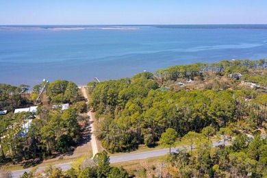 This is a very RARE find! This is 2.8 Acres of waterfront - photo 6