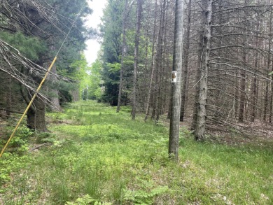 Lake Michigan - Oceana County Lot Sale Pending in Shelby Michigan