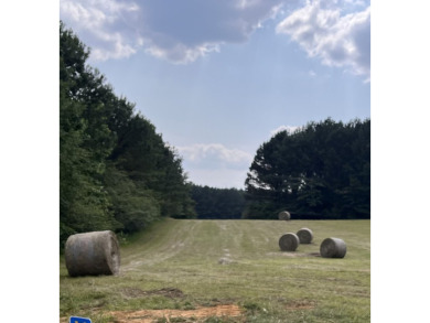 Lake Acreage For Sale in Bremen, Alabama