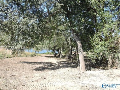 LAKE CATOMA - CULLMAN - EASTERN SHORES AT CATOMA SUBDIVISION - photo 11