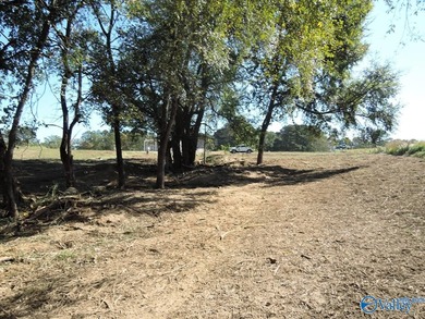 LAKE CATOMA - CULLMAN - EASTERN SHORES AT CATOMA SUBDIVISION - photo 12