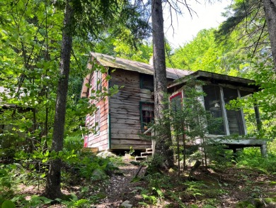 (private lake, pond, creek) Home For Sale in Old Forge New York