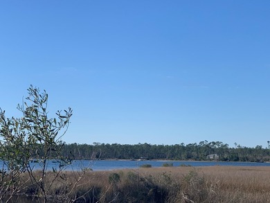 This parcel has approximately 900' of water frontage. It is - photo 3