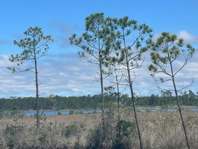 This parcel has approximately 900' of water frontage. It is - photo 4