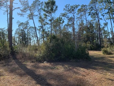 This parcel has approximately 900' of water frontage. It is - photo 5