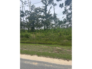 This parcel has approximately 900' of water frontage. It is - photo 7