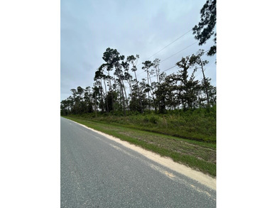 This parcel has approximately 900' of water frontage. It is - photo 8