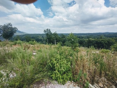 Great 5 Acres M/L to build you dream home, cabin or getaway with - photo 6