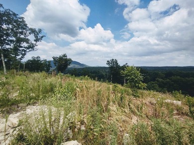Great 5 Acres M/L to build you dream home, cabin or getaway with - photo 7