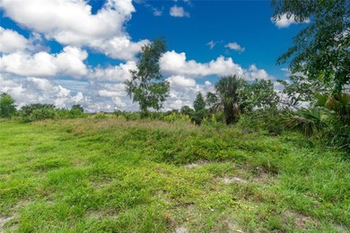 Your Florida Dream Starts Here! Picture yourself building the - photo 7