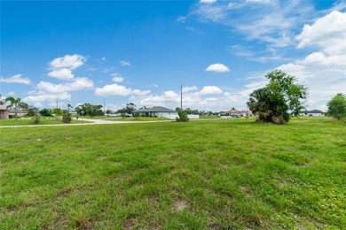 Your Florida Dream Starts Here! Picture yourself building the - photo 8