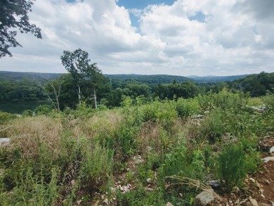 Great 5 Acres M/L to build you dream home, cabin or getaway with - photo 9