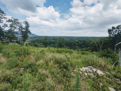 Great 5 Acres M/L to build you dream home, cabin or getaway with - photo 10