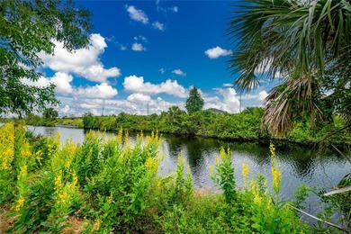 Your Florida Dream Starts Here! Picture yourself building the - photo 10