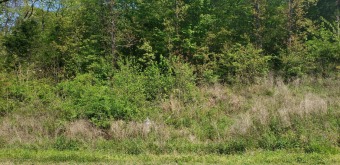 (private lake, pond, creek) Acreage For Sale in Southaven Mississippi