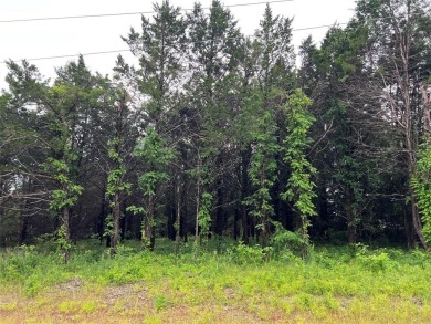 Lake Lot For Sale in Gordonville, Texas