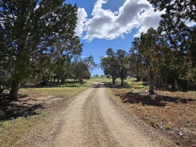 Lake Lot For Sale in Dolores, Colorado