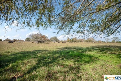 (private lake, pond, creek) Acreage For Sale in Lolita Texas