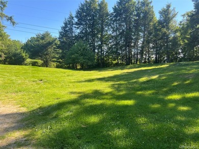 Two bedroom, one bath cottage on an amazing pastoral setting on - photo 5