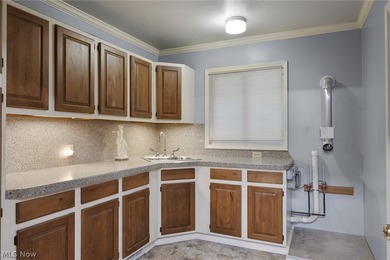Sprawling ranch on 0.45 acres backing up to Metroparks in - photo 7