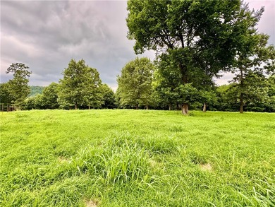 46+/- acre hobby farm in western Washington County featuring a - photo 35