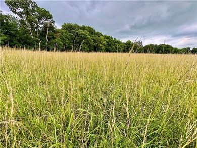 46+/- acre hobby farm in western Washington County featuring a - photo 40