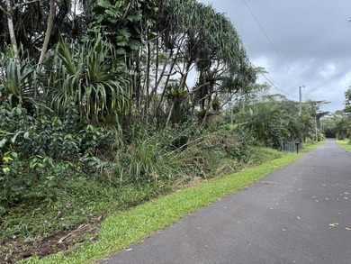 Build your island home on this vacant lot located in the - photo 1