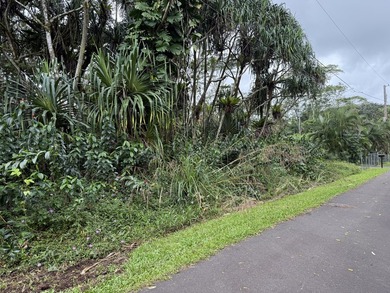 Build your island home on this vacant lot located in the - photo 2