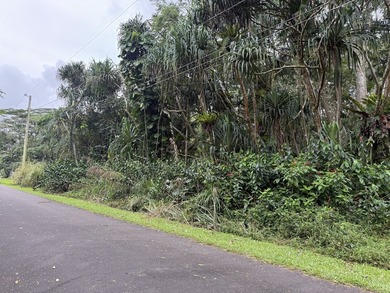 Build your island home on this vacant lot located in the - photo 3