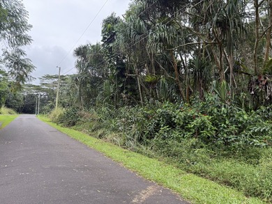 Build your island home on this vacant lot located in the - photo 4