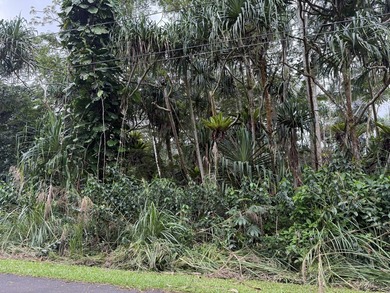 Build your island home on this vacant lot located in the - photo 5