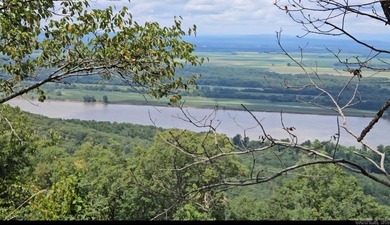 Grand views of the AR River from atop Petit Jean Mountain! +/-24 - photo 2
