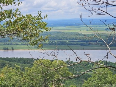 Grand views of the AR River from atop Petit Jean Mountain! +/-24 - photo 3