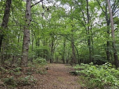 Grand views of the AR River from atop Petit Jean Mountain! +/-24 - photo 4